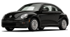 Beetle